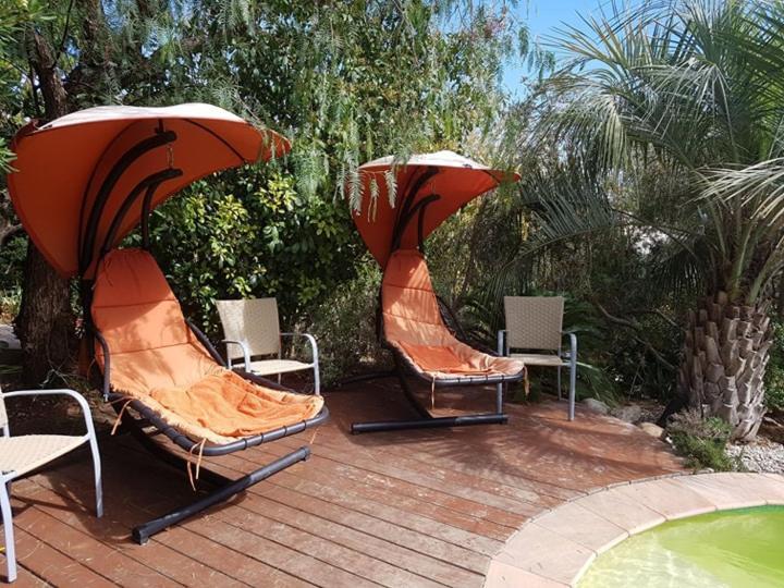 Les Palmiers Toulon Apartment Bagian luar foto