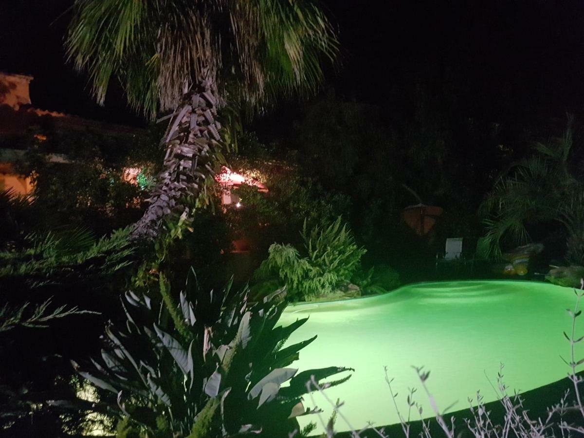 Les Palmiers Toulon Apartment Bagian luar foto